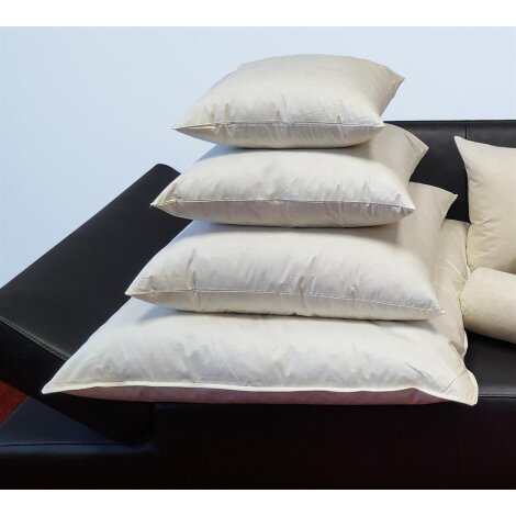 Federkissen Füllkissen Sofakissen Kissenfüllung mit Inlett und Federn, creme 30 x 50 cm