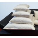 Federkissen Füllkissen Sofakissen Kissenfüllung mit Inlett und Federn, creme 50 x 50 cm