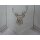 Pannaux Vorhang Scheibengardine Hirsch creme H 30 cm transparent, Meterware